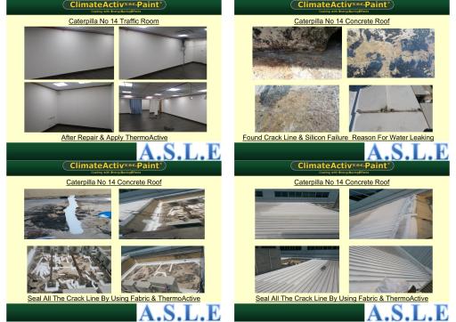 ASLE Project Reference 2017-2018-07.jpg